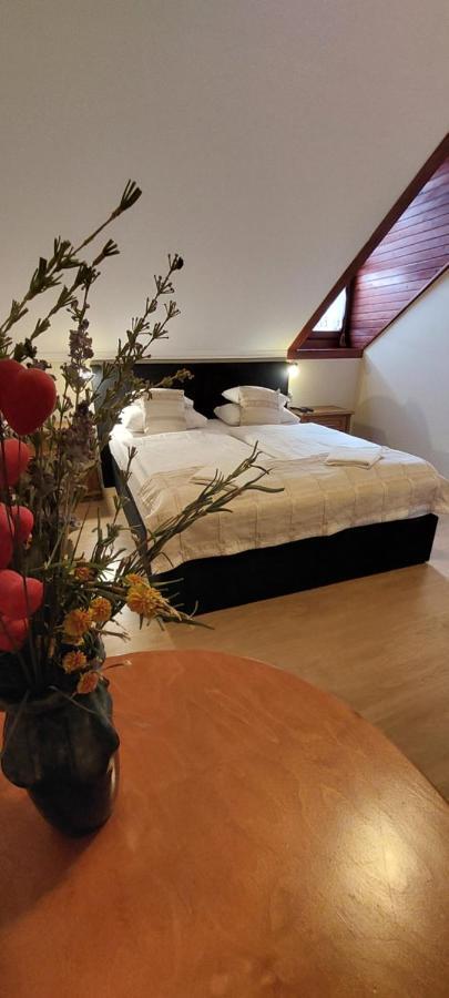 Forras Fogado Bed and Breakfast Bükkszék Εξωτερικό φωτογραφία