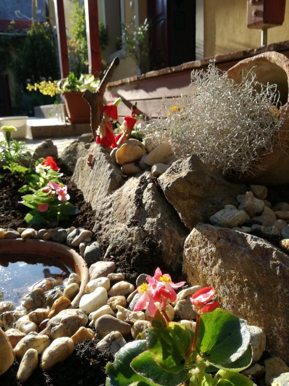 Forras Fogado Bed and Breakfast Bükkszék Εξωτερικό φωτογραφία