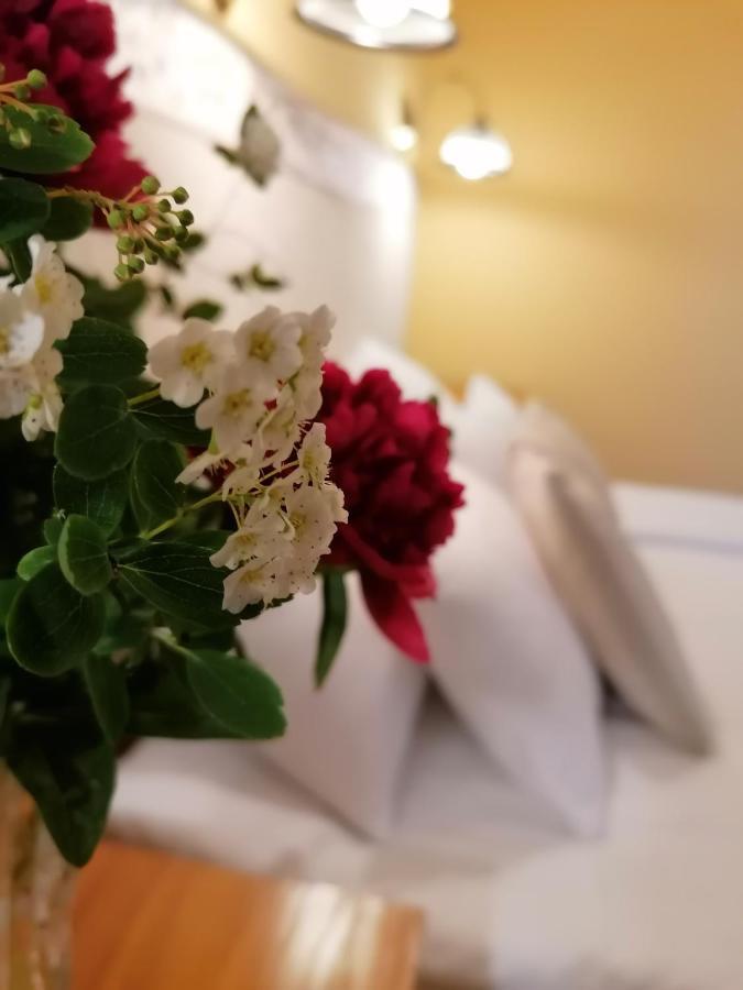 Forras Fogado Bed and Breakfast Bükkszék Εξωτερικό φωτογραφία